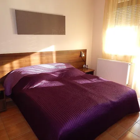 Holiday Wellness Apartman Apartment
