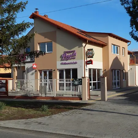 Holiday Wellness Apartman Apartment